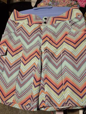 Shredly Renee Mountain Bike Shorts Multicolor Chevron
